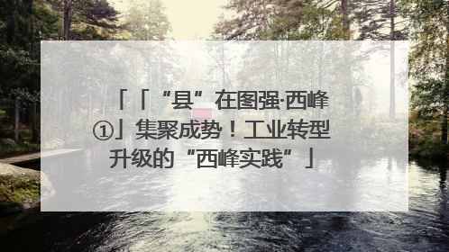 「“县”在图强·西峰①」集聚成势！工业转型升级的“西峰实践”