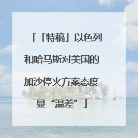 「特稿」以色列和哈马斯对美国的加沙停火方案态度显“温差”