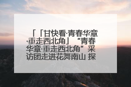 「甘快看·青春华章·重走西北角」“青春华章·重走西北角”采访团走进花舞南山 探寻天水乡村振兴之路