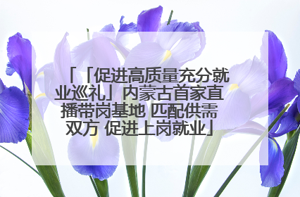 「促进高质量充分就业巡礼」内蒙古首家直播带岗基地 匹配供需双方 促进上岗就业