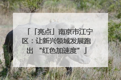 「亮点」南京市江宁区：让新兴领域发展跑出 “红色加速度”