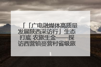 「广电融媒体高质量发展陕西采访行」生态打底 农旅生金——探访西营镇蔓营村省级旅游示范村的振兴密码