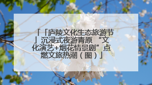 「庐陵文化生态旅游节」沉浸式夜游青原 “文化演艺+烟花情景剧”点燃文旅热潮（图）