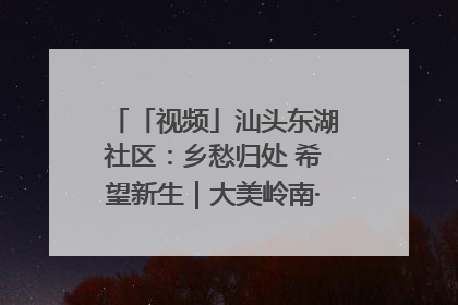 「视频」汕头东湖社区：乡愁归处 希望新生｜大美岭南·百村焕新记