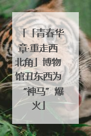 「青春华章·重走西北角」博物馆丑东西为“神马”爆火