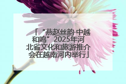 “燕赵丝韵·中越和鸣”2025年河北省文化和旅游推介会在越南河内举行