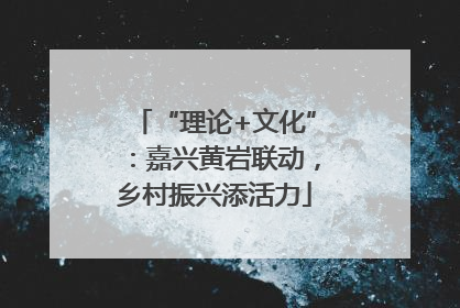“理论+文化”：嘉兴黄岩联动，乡村振兴添活力