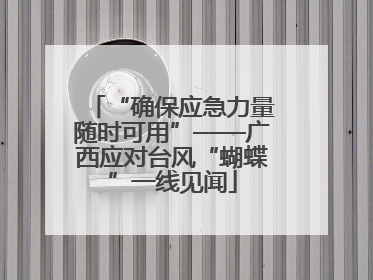 “确保应急力量随时可用”——广西应对台风“蝴蝶”一线见闻