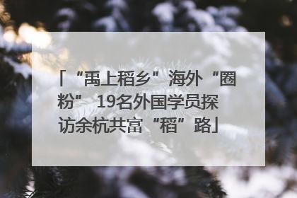 “禹上稻乡”海外“圈粉” 19名外国学员探访余杭共富“稻”路