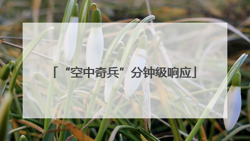 “空中奇兵”分钟级响应