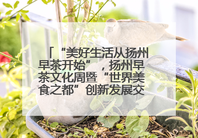 “美好生活从扬州早茶开始”，扬州早茶文化周暨“世界美食之都”创新发展交流活动启幕