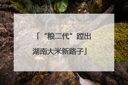 “粮二代”蹚出湖南大米新路子