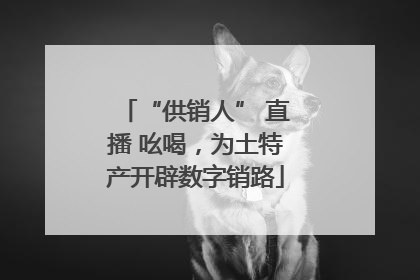 “供销人” 直播 吆喝，为土特产开辟数字销路