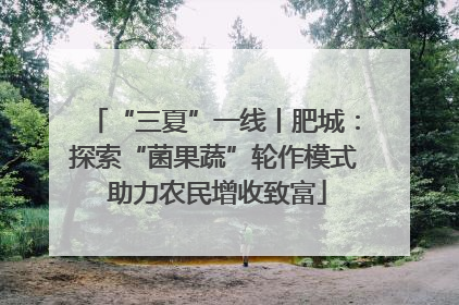 “三夏”一线丨肥城：探索“菌果蔬”轮作模式 助力农民增收致富