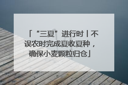 “三夏”进行时丨不误农时完成夏收夏种，确保小麦颗粒归仓