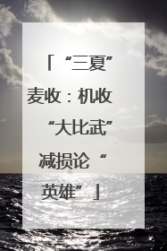 “三夏”麦收：机收“大比武” 减损论“英雄”