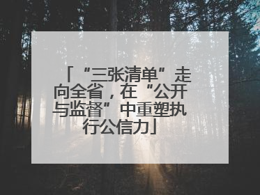 “三张清单”走向全省，在“公开与监督”中重塑执行公信力