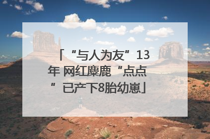 “与人为友”13年 网红麋鹿“点点”已产下8胎幼崽