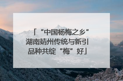 “中国杨梅之乡”湖南靖州传统与新引品种共绽“梅”好