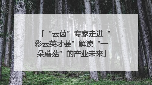 “云菌”专家走进“彩云英才荟”解读“一朵蘑菇”的产业未来