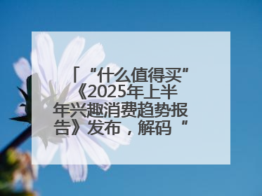 “什么值得买”《2025年上半年兴趣消费趋势报告》发布，解码“心价比”时代兴趣消费新范式