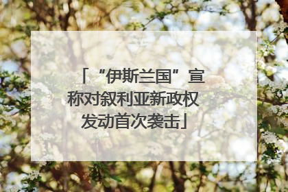 “伊斯兰国”宣称对叙利亚新政权发动首次袭击