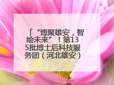 “博聚雄安，智绘未来”！第135批博士后科技服务团（河北雄安）活动成功举办