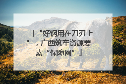 “好钢用在刀刃上”，广西筑牢资源要素“保障网”