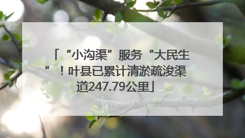 “小沟渠”服务“大民生”！叶县已累计清淤疏浚渠道247.79公里
