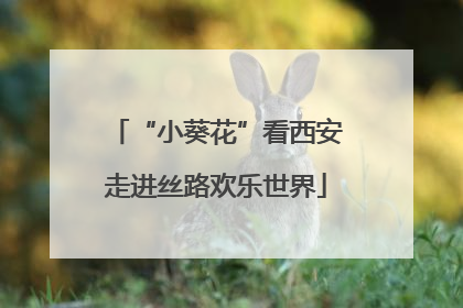 “小葵花”看西安走进丝路欢乐世界