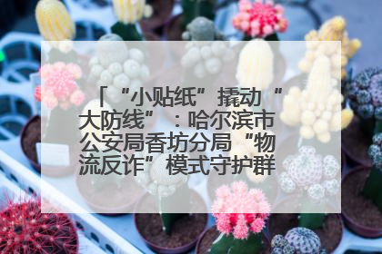“小贴纸”撬动“大防线”：哈尔滨市公安局香坊分局“物流反诈”模式守护群众“钱袋子”