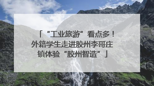 “工业旅游”看点多！外籍学生走进胶州李哥庄镇体验“胶州智造”