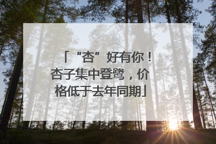 “杏”好有你！杏子集中登鹭，价格低于去年同期