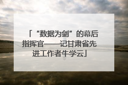 “数据为剑”的幕后指挥官——记甘肃省先进工作者牛学云