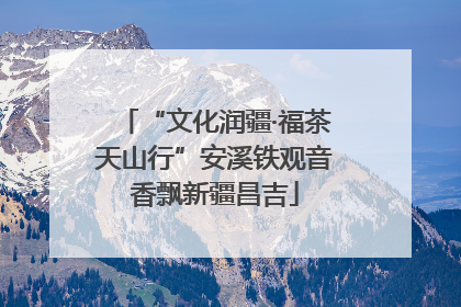 “文化润疆·福茶天山行”安溪铁观音香飘新疆昌吉