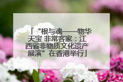 “根与魂——物华天宝 非常客家：江西省非物质文化遗产展演”在香港举行