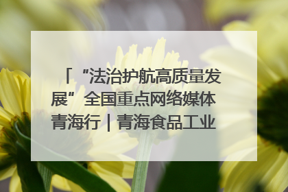 “法治护航高质量发展”全国重点网络媒体青海行｜青海食品工业协会：架起“青字号”美食的产业化桥梁