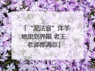 “泥法官”洋芋地里划界限 老王老郭都满意
