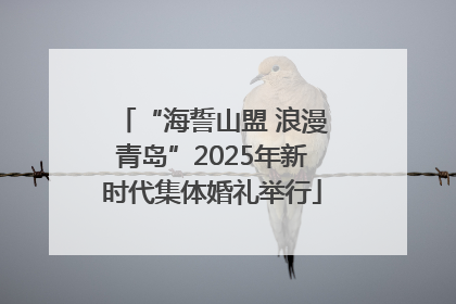 “海誓山盟 浪漫青岛”2025年新时代集体婚礼举行