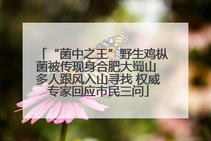 “菌中之王”野生鸡枞菌被传现身合肥大蜀山 多人跟风入山寻找 权威专家回应市民三问