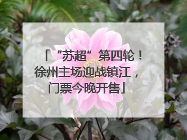 “苏超”第四轮！徐州主场迎战镇江，门票今晚开售