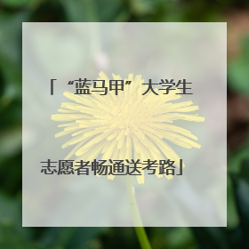 “蓝马甲”大学生志愿者畅通送考路