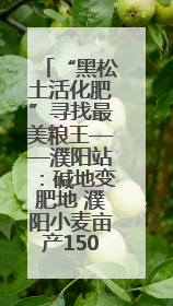 “黑松土活化肥”寻找最美粮王——濮阳站：碱地变肥地 濮阳小麦亩产1500多斤