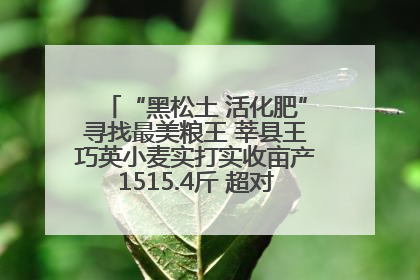 “黑松土 活化肥”寻找最美粮王 莘县王巧英小麦实打实收亩产1515.4斤 超对照田144斤！