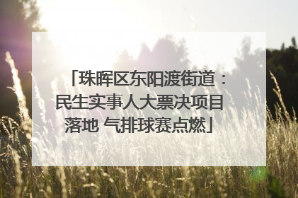 珠晖区东阳渡街道：民生实事人大票决项目落地 气排球赛点燃
