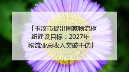 玉溪市提出国家物流枢纽建设目标：2027年物流业总收入突破千亿