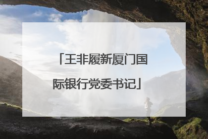 王非履新厦门国际银行党委书记