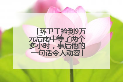 环卫工捡到9万元后雨中等了两个多小时，事后他的一句话令人动容