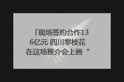 现场签约合作136亿元 四川攀枝花在这场推介会上画“图谱”列“清单”