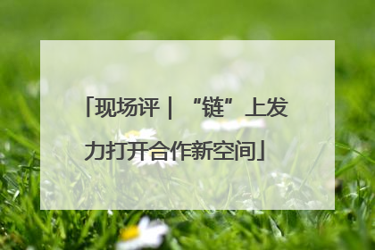 现场评｜“链”上发力打开合作新空间